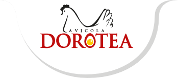 avicola-dorotea.png